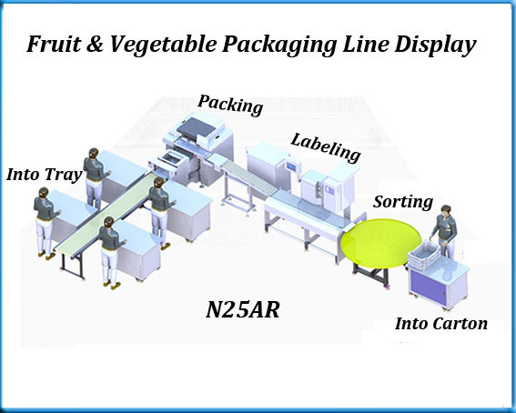 Fruit and vegetable packing machine manufacturer and supplier